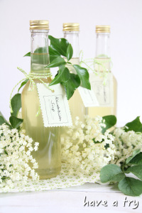 Holunderblütensirup (selbstgemacht)