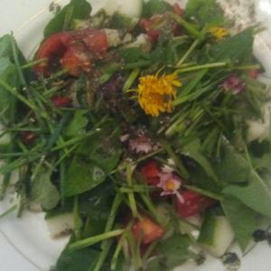wildkraeutersalat